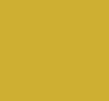 Vat Yellow 3GL